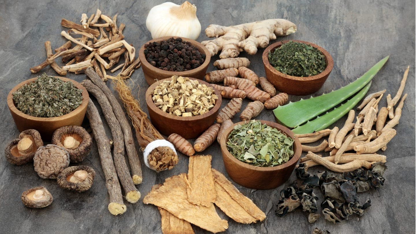 Qu'est-ce qu'un adaptogène ? Définition, plantes et bienfaits