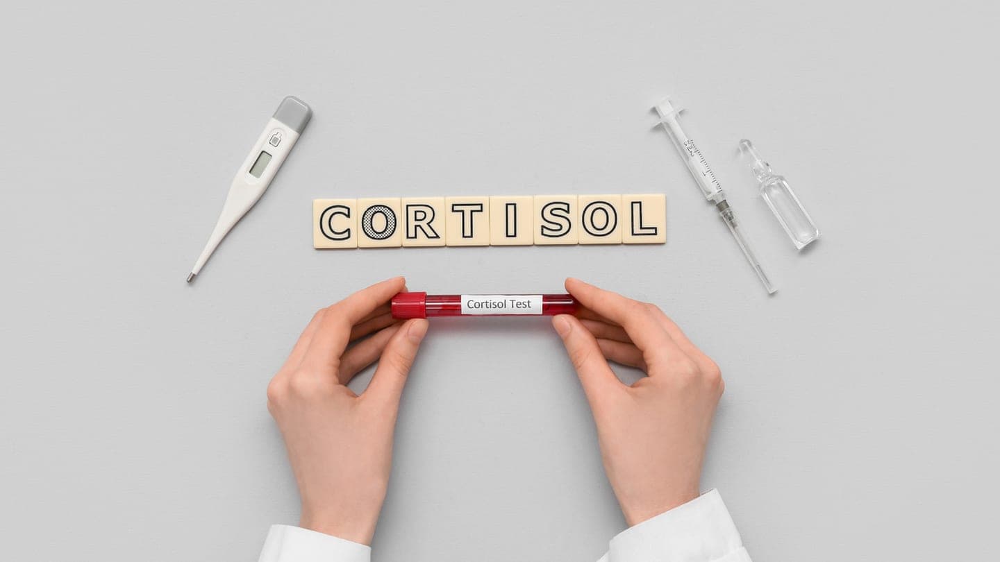 Cortisol : comment il fonctionne vraiment, et ce qui le fait baisser