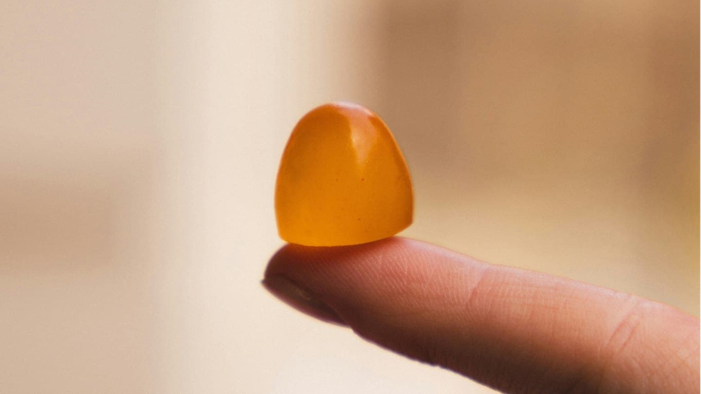 Gummies ou gélules : ce qui change vraiment, et comment choisir