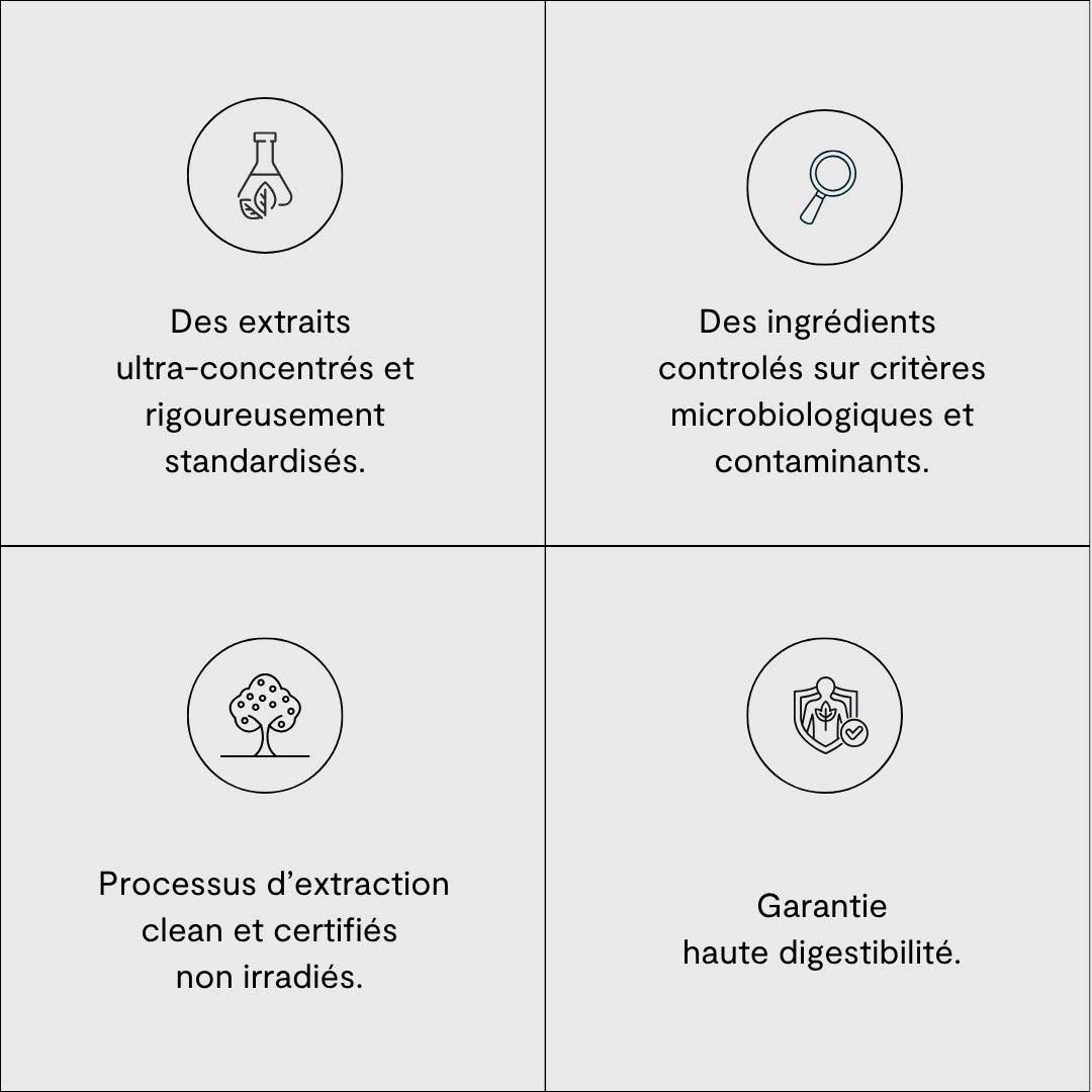 Image de diapositive